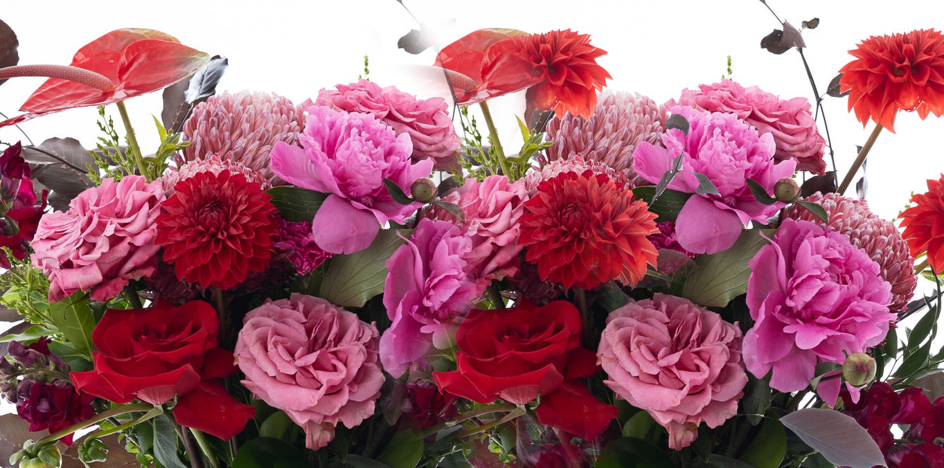 Flower Delivery Adelaide Flora Blume